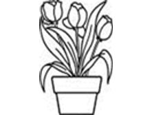 Image855.png