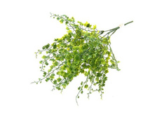 ����� "�������� ������"����� "�������� ������" �����; 35 ��; �������; � ����� 400 ��. ���.: 1104211 66.22���.