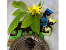 ������������ �� ���� ���� 377,30 ���_����� ���� 339,57 ���!!!