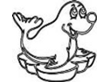 Image954.png