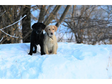 ���� ������� � ������� �� ��