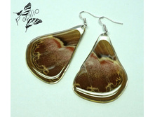 ������ Attacus atlas, 400