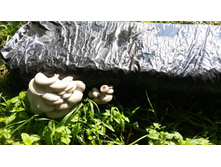 58a1c4d69b860 20160730085954.jpg