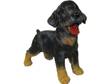 ������� ������ ����� ���-������� ����� �-26��.jpeg