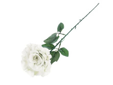 ������ ������������� "����" ��������� ����, ����������� ������������� "����" ��������� ����, ����� �����; 10 �� × 53 ��; �������, ��������; � ����� 600 ��. ���.: 1659285 39.05���