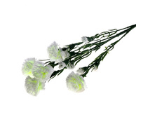 ����� ������������� "����� �������� ��������"����� ������������� "����� �������� ��������" �����; 60 ��; �������, ��������; � ����� 800 ��. ���.: 296369 49.28���.