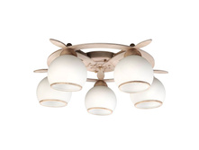 50517-05 4030�.jpg