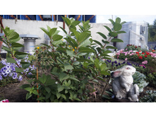 306 — �����.jpg