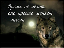 ����� �� �����...