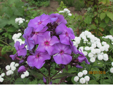 ����������� ��� �������.JPG