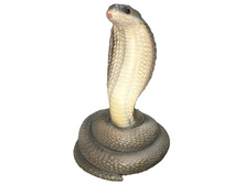 ������������ ������ ����� 28�21��.jpg