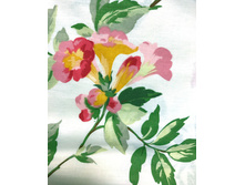 ��meron, �����-������