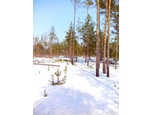 IMG 20170311 112854.jpg