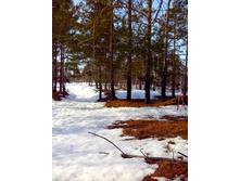 IMG 20170311 104831.jpg