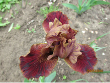 ��� ��� ������.JPG