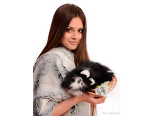 ������ ������� �������.jpg