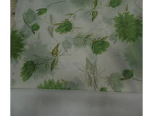 ������ �������.JPG