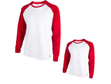 �������� ����