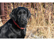 ���� ��� 5 ���