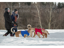 32331478104 b67946489d o.jpg