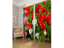 ��������� "���� � ������� �����" 2440,00 ���. �����: ����������� �������: 290x260 �� ��������: ������� �����: 03548 �������������: ������