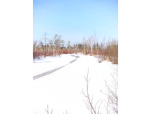 IMG 20170311 112256.jpg