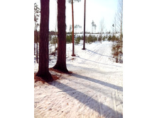 IMG 20170311 131522.jpg