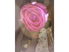 2017-03-28 10-59-47.JPG