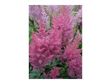 ������� 17�*