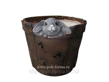 �������� � �������� �-17��, D-17��.jpg