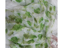 ���� ������.jpg