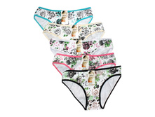 ������� ����� Sixi 1288 ������������ 30 ���