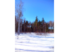 IMG 20170326 093239.jpg