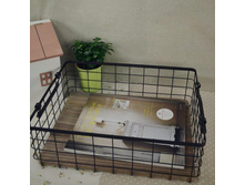 �������� �������. ������, ������.