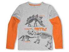 ������� ����������� �������� � ������� ������� ��� ��������� - 495 ���