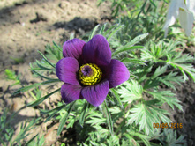 �������� �����.JPG