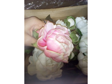 2017-03-28 10-54-57.JPG