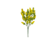 E.4-HZ �e.�0�a������ -��e.��-, 30 ��, �e.���� ���� 74,5 ����� 50,00.jpg