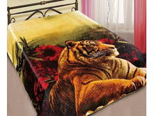 ��������� ����� ���� 220�240 �������� "������" 937,00 ���. �������: ������