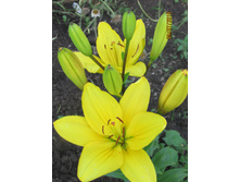 ��������� ������.JPG