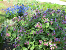 �������� �������� ������.JPG