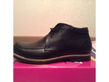 294 ���� ���.jpg