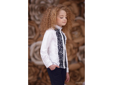 ������ 3641-3