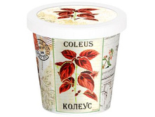 ������  80 ���..jpg