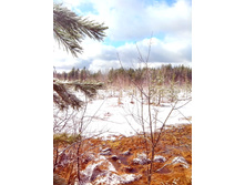 IMG 20170325 111729.jpg