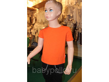 �������� ������������ ���������.jpg