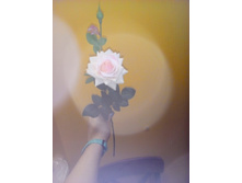 2017-03-28 10-55-30.JPG