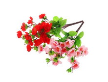 ����� "������" ��������� "������" ���� �����; 35 ��; �������, ��������; � ����� 1200 ��. ���.: 1275862 74.14���.