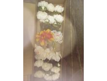 2017-03-28 10-51-42.JPG