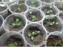 ������� ����������. ����� 15 ������ 2017 �.